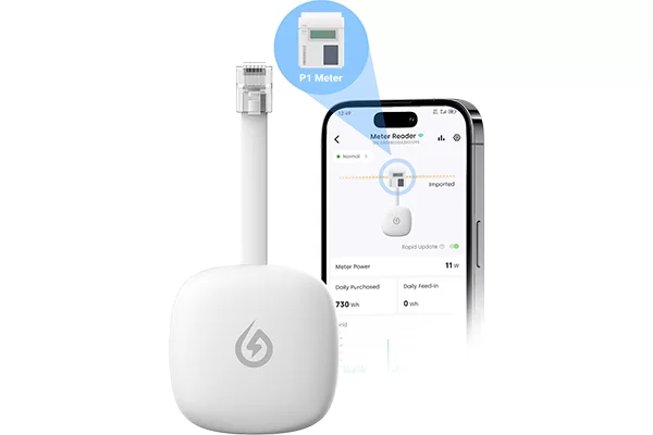 How to Install the P1 Meter Reader?