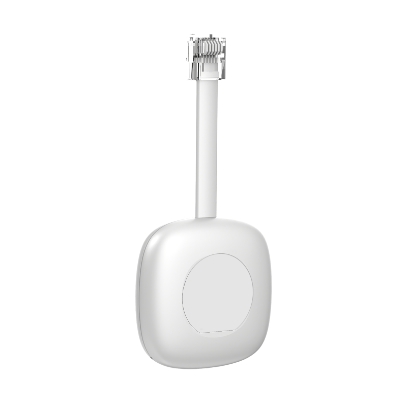 P1 Meter Reader P1-2W