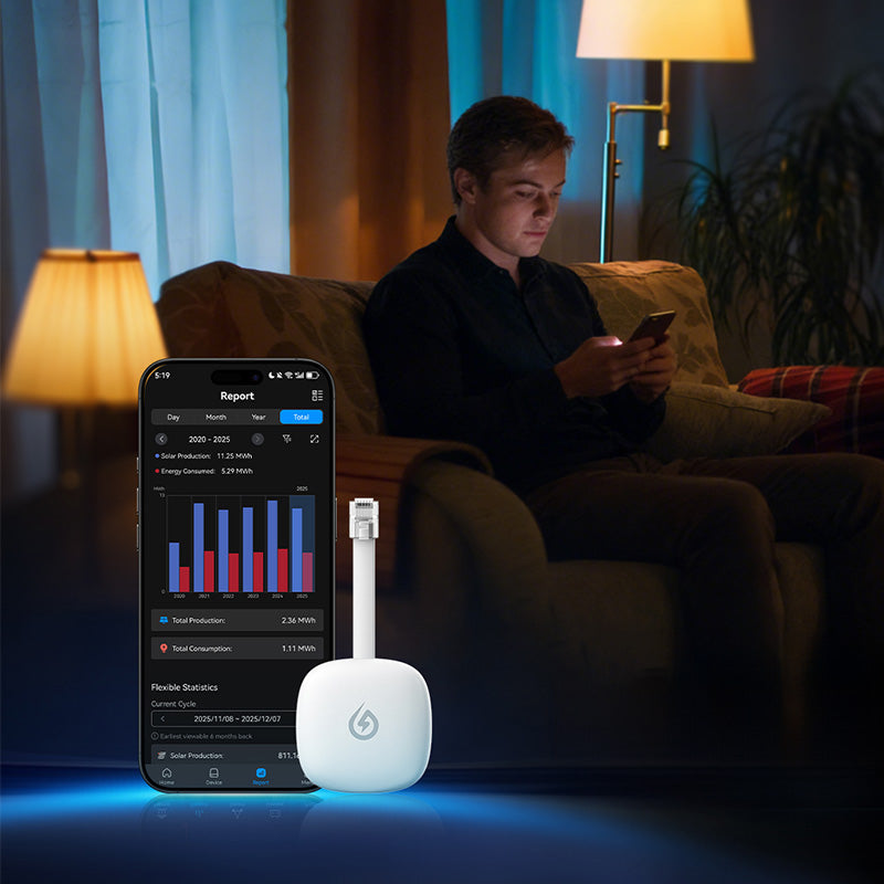 How to Use the P1 Meter Reader? – SOLARMAN